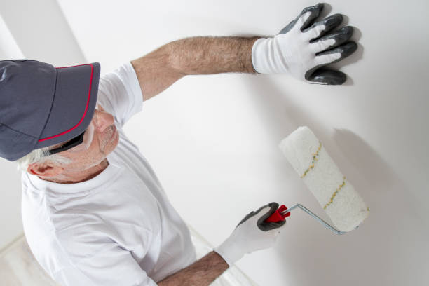 Best Post-Construction Mold Inspection  in Rossford, OH
