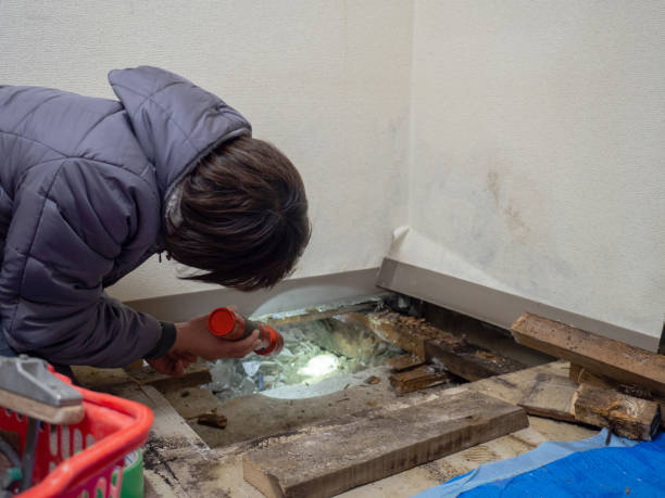 Best HVAC Mold Inspection and Cleaning  in Rossford, OH