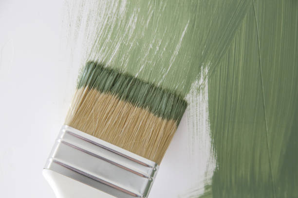 Best Environmental Consulting for Mold Prevention  in Rossford, OH