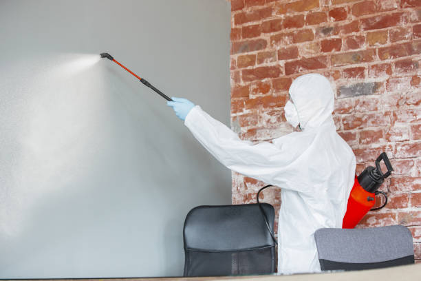 Mold Remediation for Rental Properties in Rossford, OH
