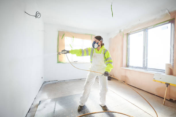 Best Emergency Mold Remediation  in Rossford, OH