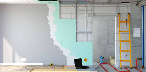 Professional Mold Removal in Rossford, OH