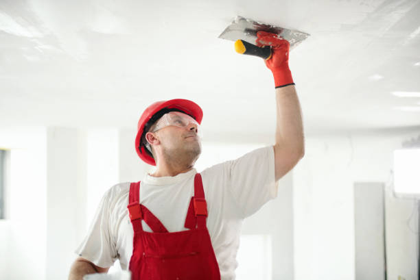 Best Asbestos and Lead Testing During Mold Inspection  in Rossford, OH