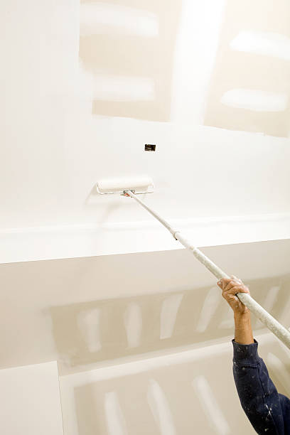 Best Attic Mold Removal  in Rossford, OH