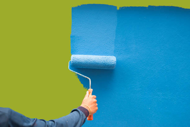  Rossford, OH Mold Removal Pros
