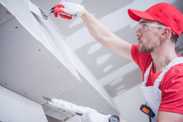 Best Black Mold Removal  in Rossford, OH